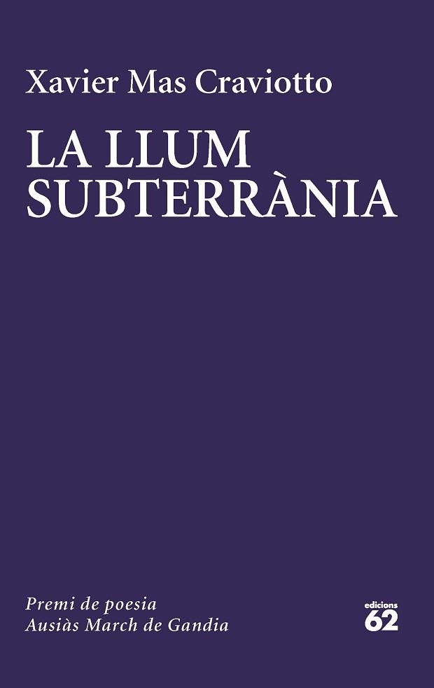 LA LLUM SUBTERRÀNIA | 9788429780741 | MAS CRAVIOTTO,XAVIER | Llibreria Geli - Llibreria Online de Girona - Comprar llibres en català i castellà