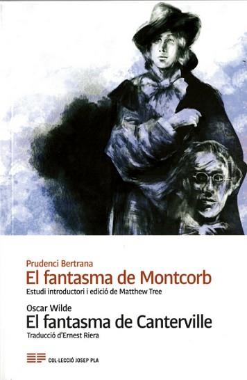 EL FANTASMA DE MONTCORB | 9788418734144 | TREE,MATTHEW | Libreria Geli - Librería Online de Girona - Comprar libros en catalán y castellano