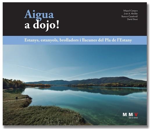 AIGUA A DOJO! | 9788409453924 | CAMPOS LLACH,MIQUEL/ABELLÁN MANONELLAS,JOAN ANTON | Libreria Geli - Librería Online de Girona - Comprar libros en catalán y castellano