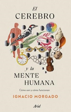 EL CEREBRO Y LA MENTE HUMANA.CÓMO SON Y CÓMO FUNCIONAN | 9788434435988 | MORGADO,IGNACIO | Llibreria Geli - Llibreria Online de Girona - Comprar llibres en català i castellà