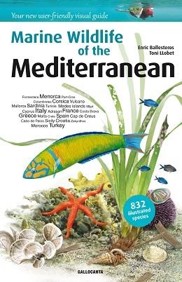 MARINE WILDLIFE OF THE MEDITERRANEAN | 9788415885276 | BALLESTEROS SAGARRA,ENRIC | Libreria Geli - Librería Online de Girona - Comprar libros en catalán y castellano