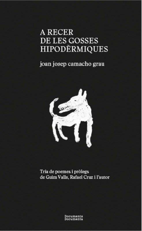 A RECER DE LES GOSSES HIPODÈRMIQUES | 9788412258257 | CAMACHO GRAU,JOAN JOSEP | Llibreria Geli - Llibreria Online de Girona - Comprar llibres en català i castellà