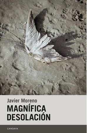 MAGNÍFICA DESOLACIÓN | 9788418504563 | MORENO GARCÍA,FRANCISCO JAVIER | Llibreria Geli - Llibreria Online de Girona - Comprar llibres en català i castellà