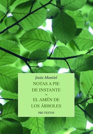 NOTAS A PIE DE INSTANTE / EL AMÉN DE LOS ÁRBOLES | 9788419633255 | MONTIEL,JESÚS | Llibreria Geli - Llibreria Online de Girona - Comprar llibres en català i castellà