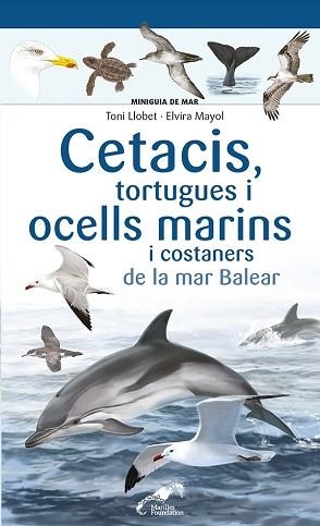 CETACIS,TORTUGUES I OCELLS MARINS I COSTANERS DE LA MAR BALEAR | 9788413562735 | MAYOL,ELVIRA | Llibreria Geli - Llibreria Online de Girona - Comprar llibres en català i castellà