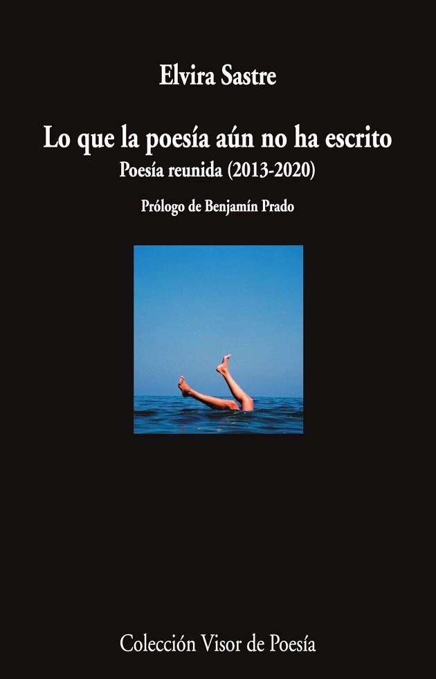 LO QUE LA POESÍA AÚN NO HA ESCRITO | 9788498954920 | SASTRE,ELVIRA | Libreria Geli - Librería Online de Girona - Comprar libros en catalán y castellano