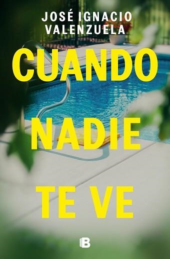 CUANDO NADIE TE VE | 9788466675192 | VALENZUELA,JOSÉ IGNACIO | Llibreria Geli - Llibreria Online de Girona - Comprar llibres en català i castellà