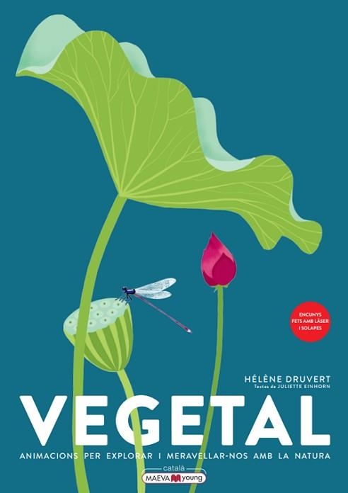 VEGETAL (EDICIÓ 2023) | 9788419110886 | DRUVERT, HÉLÈNE | Llibreria Geli - Llibreria Online de Girona - Comprar llibres en català i castellà