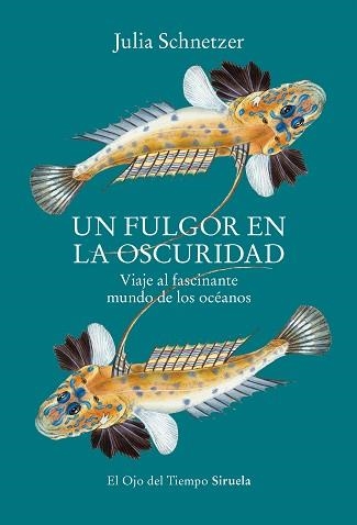 UN FULGOR EN LA OSCURIDAD | 9788419553119 | SCHNETZER,JULIA | Llibreria Geli - Llibreria Online de Girona - Comprar llibres en català i castellà