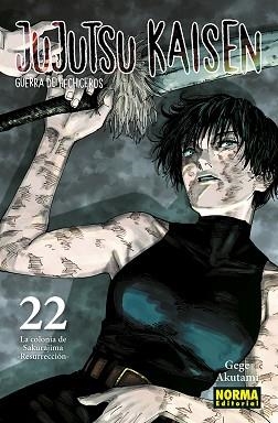 JUJUTSU KAISEN-22 | 9788467962000 | AKUTAMI,GEGE | Libreria Geli - Librería Online de Girona - Comprar libros en catalán y castellano