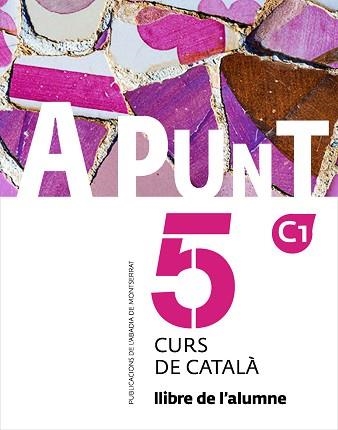 A PUNT-5(CURS DE CATALÀ. LLIBRE DE L'ALUMNE) | 9788491912262 | VILAGRASA GRANDIA,ALBERT | Libreria Geli - Librería Online de Girona - Comprar libros en catalán y castellano