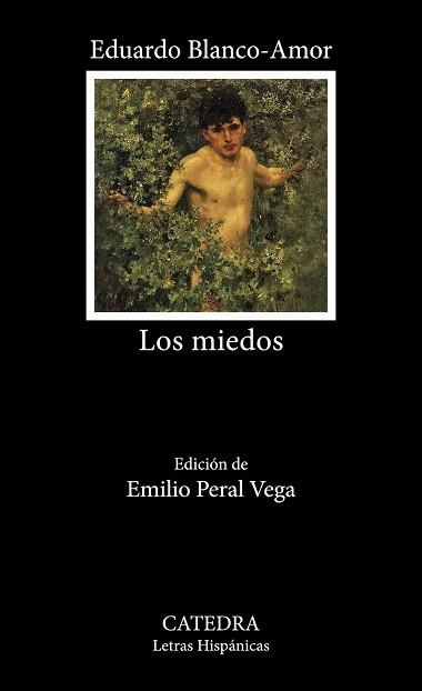 LOS MIEDOS | 9788437646459 | BLANCO-AMOR,EDUARDO | Llibreria Geli - Llibreria Online de Girona - Comprar llibres en català i castellà