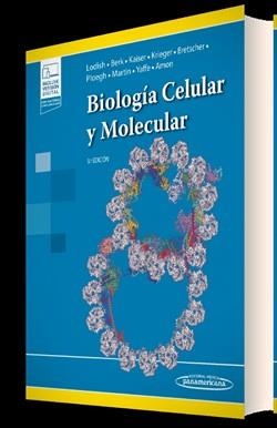 BIOLOGÍA CELULAR Y MOLECULAR(9ª EDICIÓN 2023+E-BOOK) | 9788411061896 | LODISH,HARVEY/BERK,ARNOLD/KAISER,CHRIS A. | Llibreria Geli - Llibreria Online de Girona - Comprar llibres en català i castellà