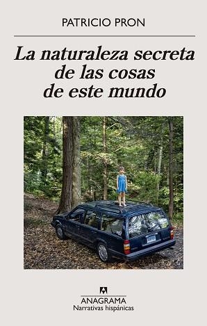 LA NATURALEZA SECRETA DE LAS COSAS DE ESTE MUNDO | 9788433911186 | PRON,PATRICIO | Llibreria Geli - Llibreria Online de Girona - Comprar llibres en català i castellà