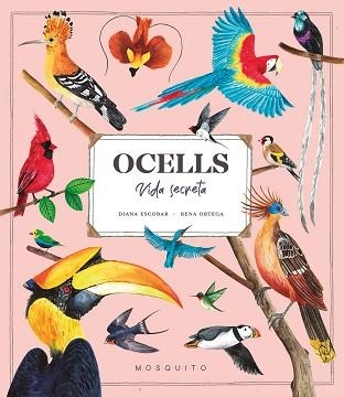 OCELLS.VIDA SECRETA | 9788419095534 | ESTEBAN,DIANA | Llibreria Geli - Llibreria Online de Girona - Comprar llibres en català i castellà