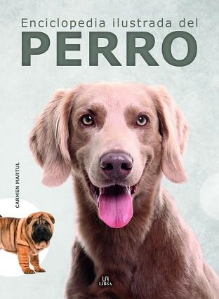 ENCICLOPEDIA ILUSTRADA DEL PERRO | 9788466242455 | MARTUL HERNÁNDEZ,CARMEN | Libreria Geli - Librería Online de Girona - Comprar libros en catalán y castellano