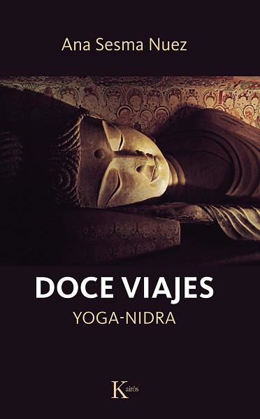 DOCE VIAJES | 9788411211994 | SESMA NUEZ,ANA | Llibreria Geli - Llibreria Online de Girona - Comprar llibres en català i castellà