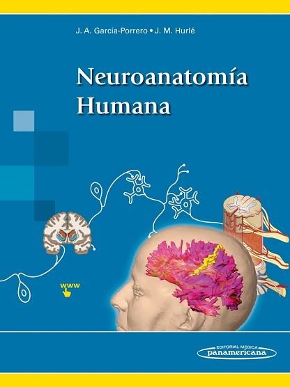 NEUROANATOMÍA HUMANA+VERSIÓN DIGITAL(EDICIÓN 2020) | 9788491107453 | GARCÍA-PORRERO PÉREZ,JUAN ANTONIO/HURLÉ GONZÁLEZ,JUAN MARIO | Llibreria Geli - Llibreria Online de Girona - Comprar llibres en català i castellà