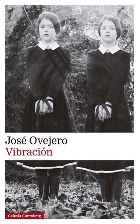 VIBRACIÓN | 9788419738615 | OVEJERO,JOSÉ | Llibreria Geli - Llibreria Online de Girona - Comprar llibres en català i castellà