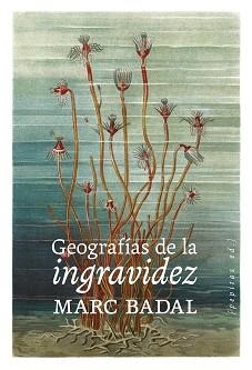 GEOGRAFÍAS DE LA INGRAVIDEZ | 9788418998669 | BADAL PIJOAN,MARC | Llibreria Geli - Llibreria Online de Girona - Comprar llibres en català i castellà