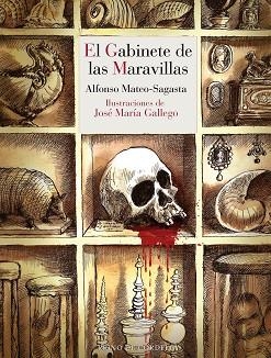 EL GABINETE DE LAS MARAVILLAS | 9788419124746 | MATEO-SAGASTA, ALFONSO | Llibreria Geli - Llibreria Online de Girona - Comprar llibres en català i castellà