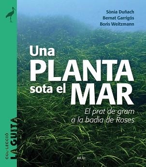 UNA PLANTA SOTA EL MAR | 9788418096747 | DUÑACH, SÒNIA/GARRIGÓS, BERNAT/WEITZMANN, BORIS | Libreria Geli - Librería Online de Girona - Comprar libros en catalán y castellano