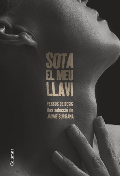 SOTA EL MEU LLAVI | 9788466432177 | SUBIRANA ORTÍN, JAUME | Llibreria Geli - Llibreria Online de Girona - Comprar llibres en català i castellà