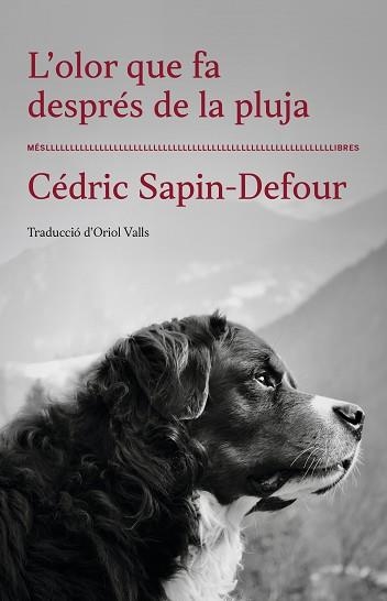 L'OLOR QUE FA DESPRÉS DE LA PLUJA | 9788417353568 | CÉDRIC SAPIN-DEFOUR | Llibreria Geli - Llibreria Online de Girona - Comprar llibres en català i castellà