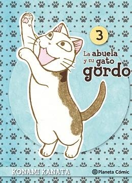 LA ABUELA Y SU GATO GORDO Nº 03/08 | 9788416308101 | KANATA, KONAMI | Llibreria Geli - Llibreria Online de Girona - Comprar llibres en català i castellà