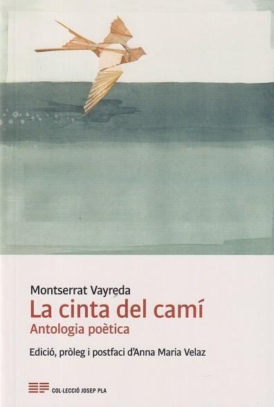 LA CINTA DEL CAMÍ | 9788418734359 | VAYREDA,MONTSERRAT | Llibreria Geli - Llibreria Online de Girona - Comprar llibres en català i castellà