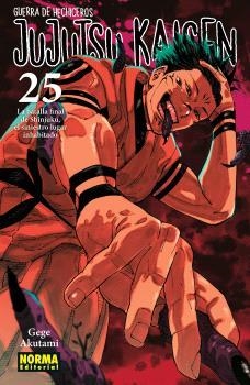 JUJUTSU KAISEN-25 | 9788467971743 | AKUTAMI, GEGE | Llibreria Geli - Llibreria Online de Girona - Comprar llibres en català i castellà