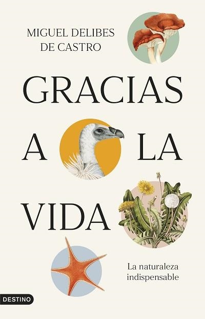 GRACIAS A LA VIDA | 9788423365821 | DELIBES DE CASTRO, MIGUEL | Libreria Geli - Librería Online de Girona - Comprar libros en catalán y castellano