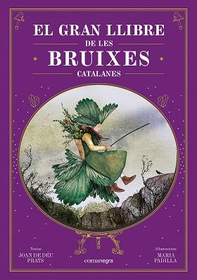 EL GRAN LLIBRE DE LES BRUIXES CATALANES | 9788410161337 | PRATS, JOAN DE DÉU/PADILLA, MARIA | Libreria Geli - Librería Online de Girona - Comprar libros en catalán y castellano