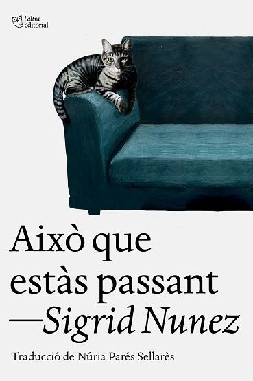 AIXÒ QUE ESTÀS PASSANT | 9788412925739 | NUNEZ, SIGRID | Llibreria Geli - Llibreria Online de Girona - Comprar llibres en català i castellà