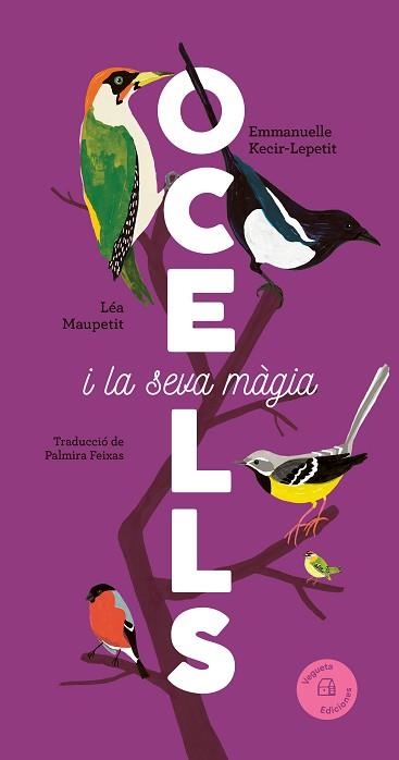 OCELLS I LA SEVA MÀGIA | 9788419794376 | KECIR-LEPETIT, EMMANUELLE | Llibreria Geli - Llibreria Online de Girona - Comprar llibres en català i castellà