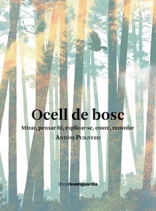 OCELL DE BOSC | 9788418604461 | PUIGVERD ROMAGUERA, ANTONI | Llibreria Geli - Llibreria Online de Girona - Comprar llibres en català i castellà