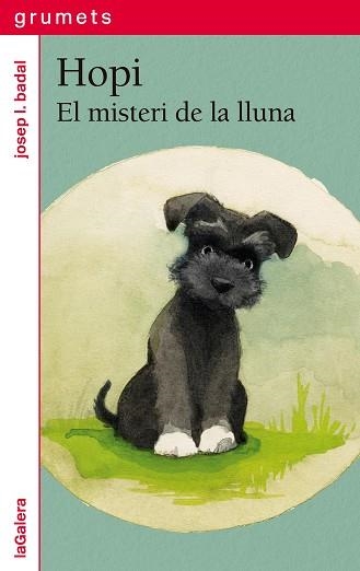 HOPI-1.EL MISTERI DE LA LLUNA | 9788424675271 | BADAL, JOSEP LL | Llibreria Geli - Llibreria Online de Girona - Comprar llibres en català i castellà