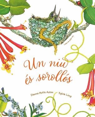 UN NIU ÉS SOROLLÓS | 9788418900303 | HUTTS ASTON, DIANNA | Llibreria Geli - Llibreria Online de Girona - Comprar llibres en català i castellà