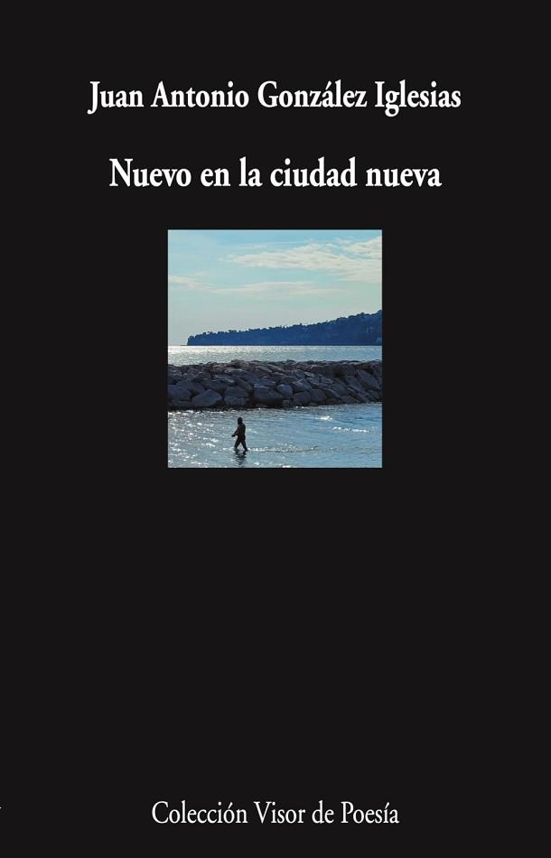 NUEVO EN LA CIUDAD NUEVA | 9788498955910 | GONZÁLEZ IGLESIAS, JUAN ANTONIO | Libreria Geli - Librería Online de Girona - Comprar libros en catalán y castellano