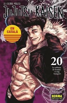 JUJUTSU KAISEN 20 CATALA | 9788467969924 | AKUTAMI, GEGE | Llibreria Geli - Llibreria Online de Girona - Comprar llibres en català i castellà