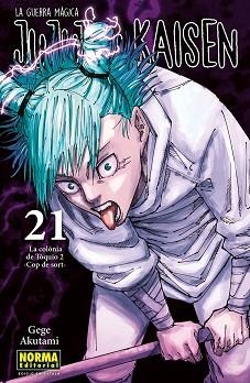 JUJUTSU KAISEN 21 CATALA | 9788467969931 | AKUTAMI, GEGE | Llibreria Geli - Llibreria Online de Girona - Comprar llibres en català i castellà