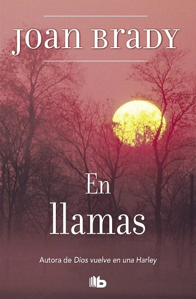 EN LLAMAS | 9788496581098 | BRADY,JOAN | Llibreria Geli - Llibreria Online de Girona - Comprar llibres en català i castellà